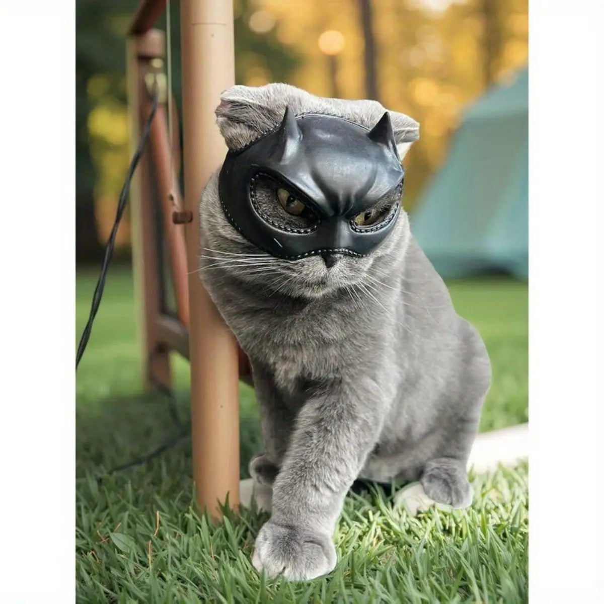 Cat Bat Mask Feline Role-Play Headpiece Form-Fitting Pet Costume Accessory Whimsical and Adorable Cat